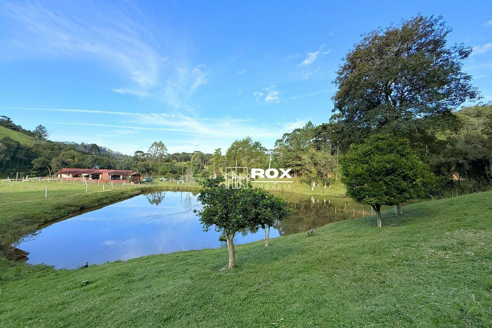Chácara à venda com 6 quartos, 350m² - Foto 3