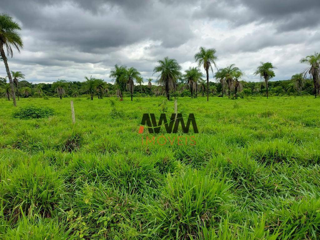 Fazenda à venda, 25748800M2 - Foto 12