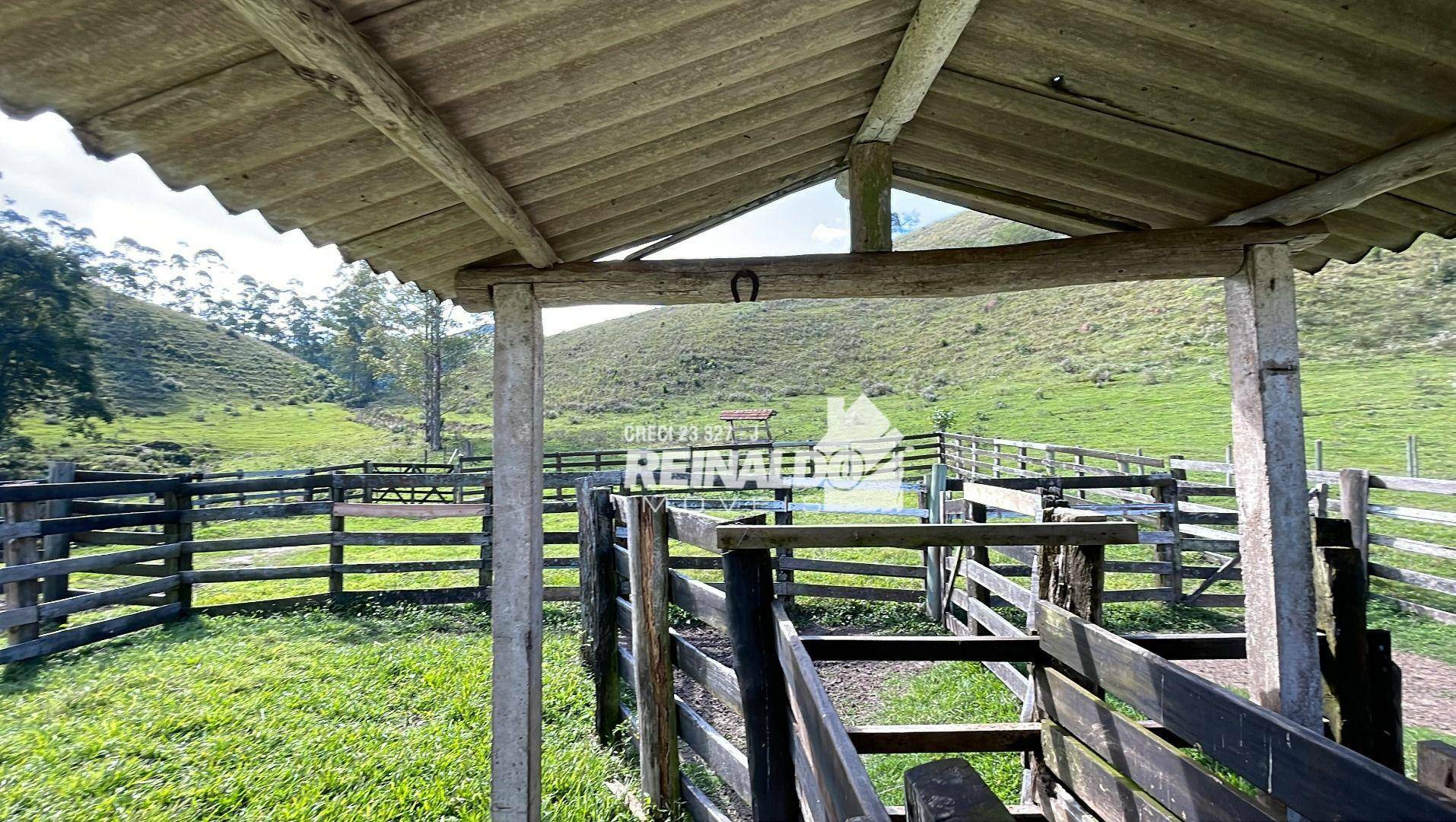 Fazenda à venda com 8 quartos, 900m² - Foto 64