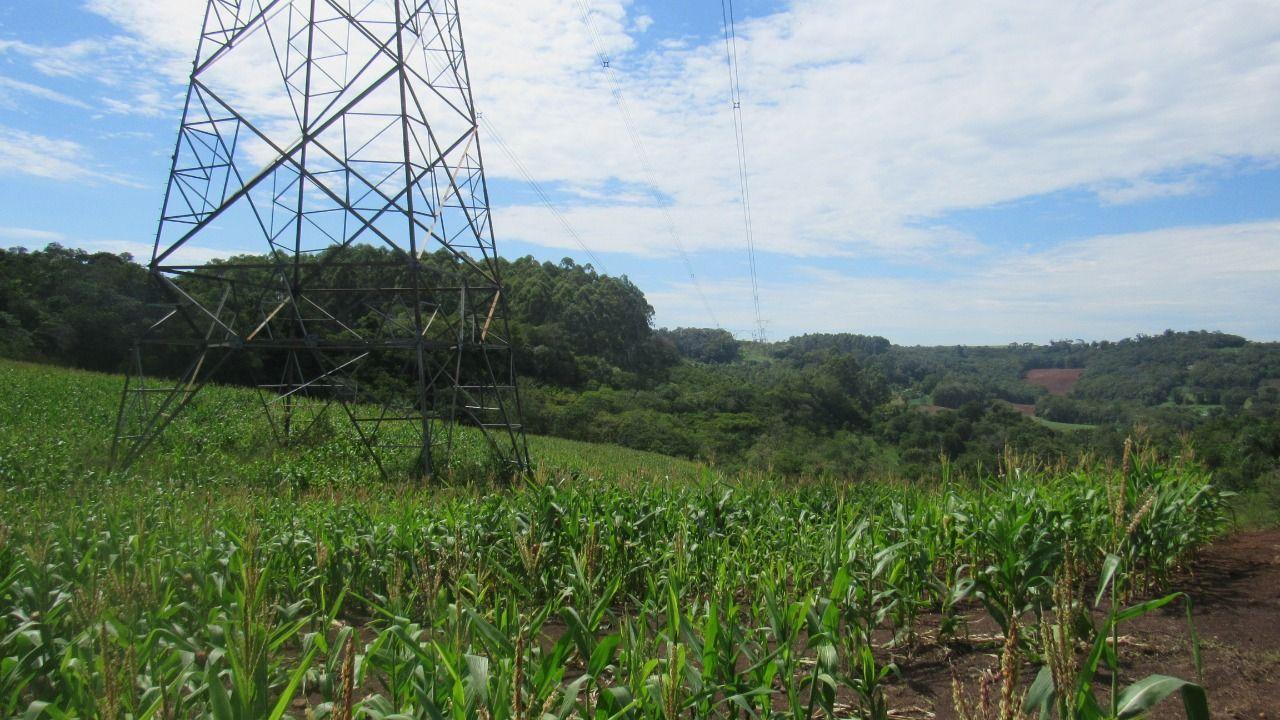 Loteamento e Condomínio à venda, 120000m² - Foto 14