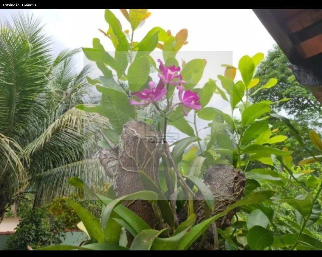 Casa à venda com 4 quartos, 360m² - Foto 3
