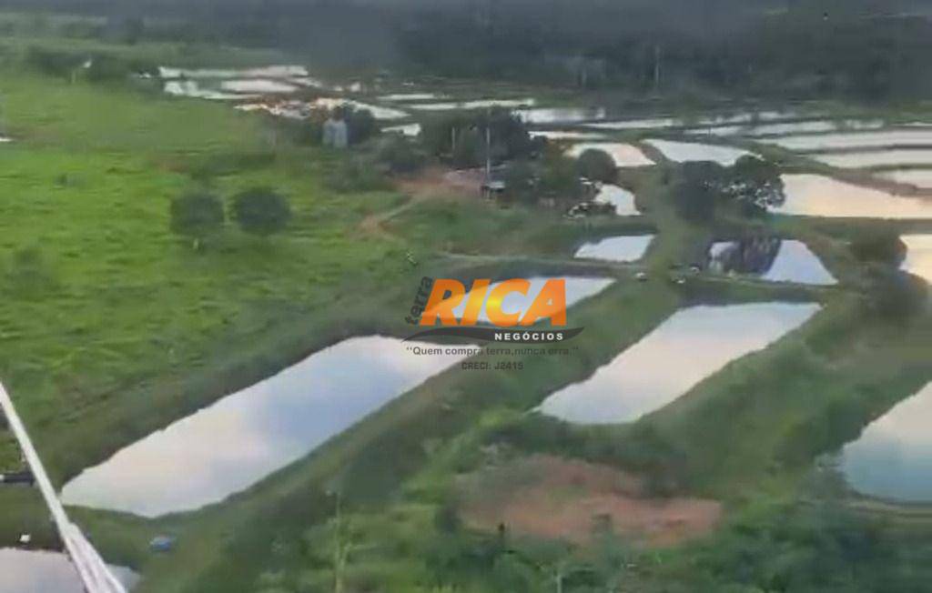 Fazenda-Sítio-Chácara, 118 hectares - Foto 3