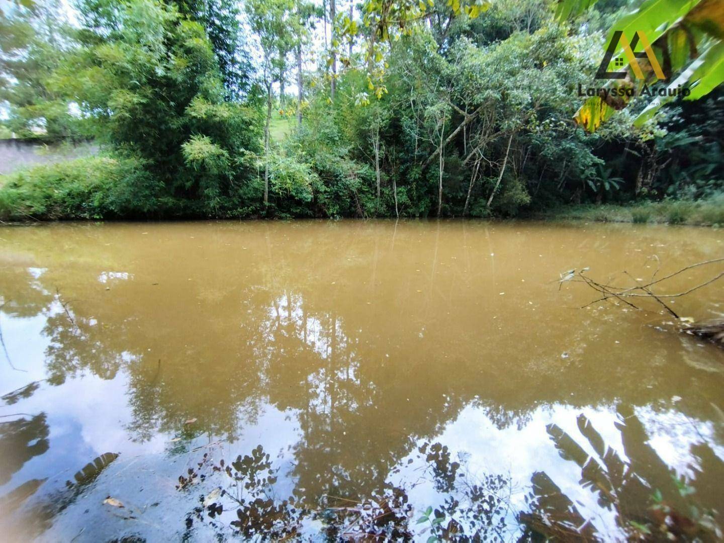 Chácara à venda com 6 quartos, 11889M2 - Foto 8