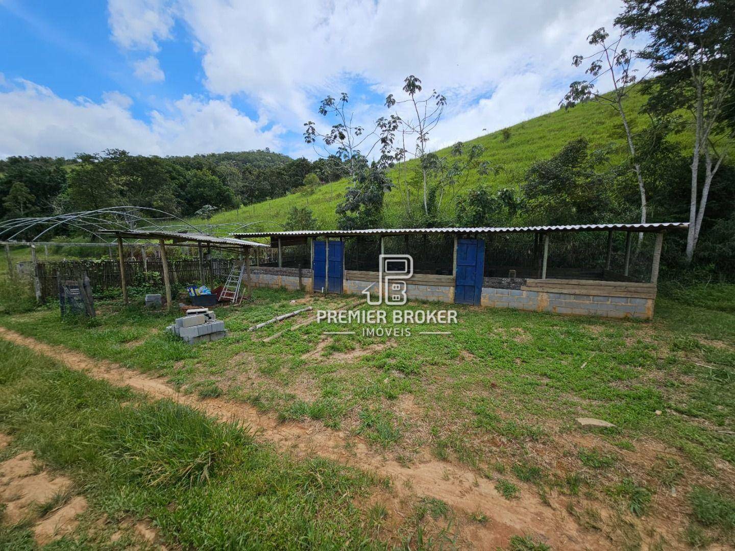 Fazenda à venda com 3 quartos, 250m² - Foto 21