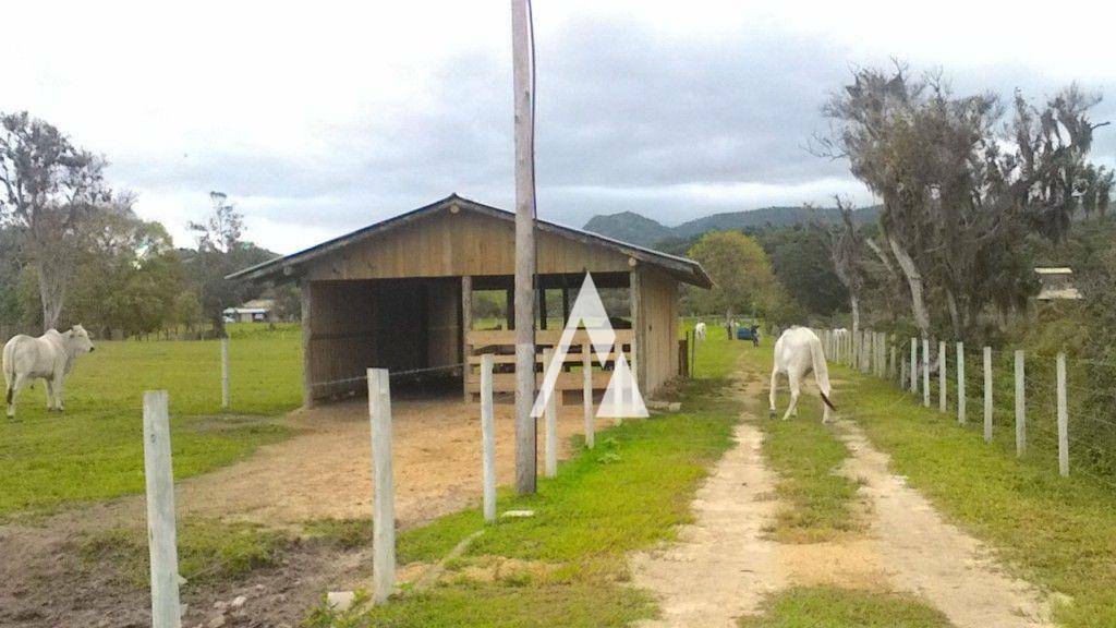 Sítio à venda, 100m² - Foto 2