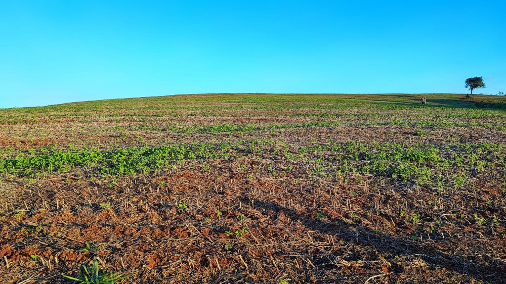 Fazenda à venda, 13m² - Foto 7