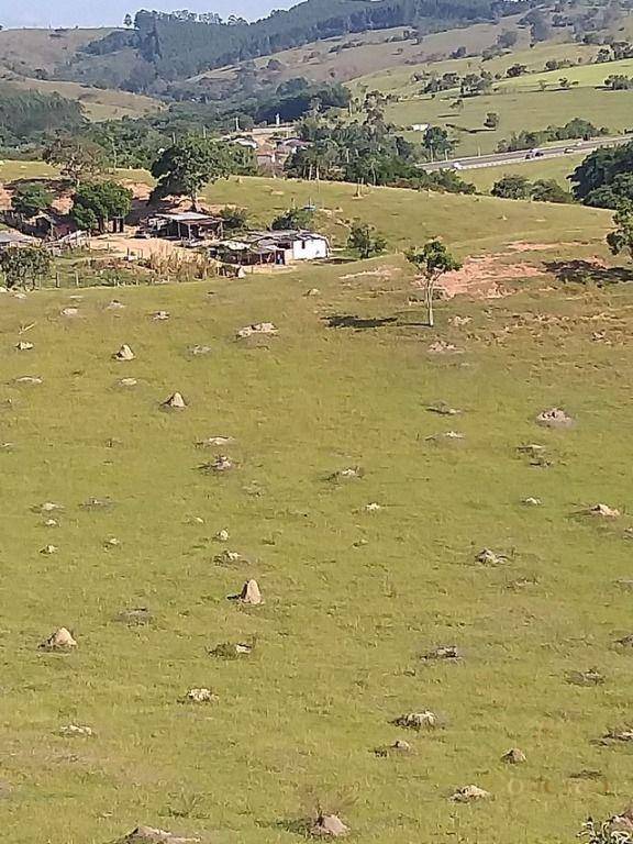 Terreno, 4 hectares - Foto 1