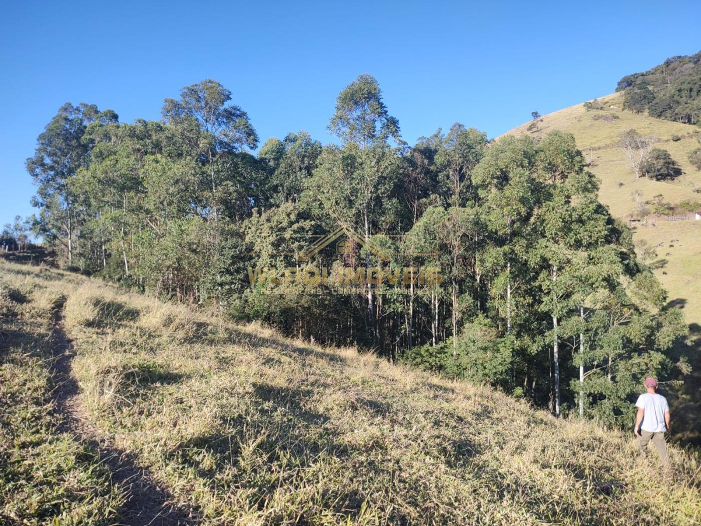 Terreno à venda, 20000m² - Foto 5