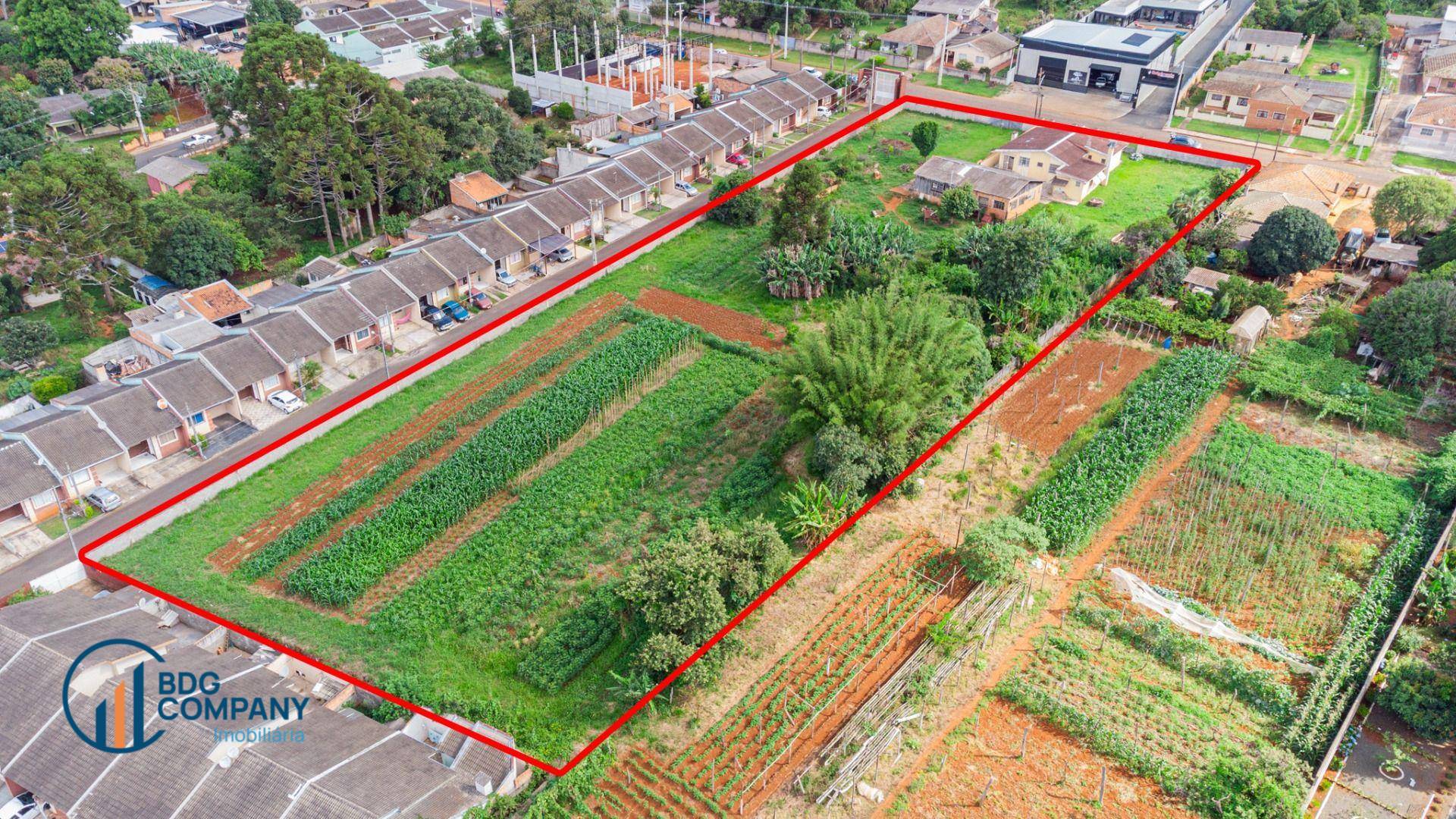 Terreno, 6264 m² - Foto 13