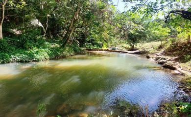 Fazenda-Sítio-Chácara, 20 hectares - Foto 4