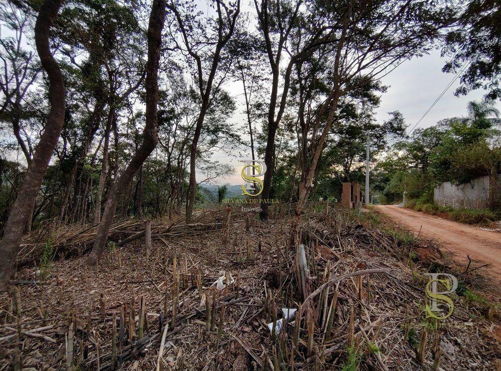 Terreno à venda, 1000M2 - Foto 3