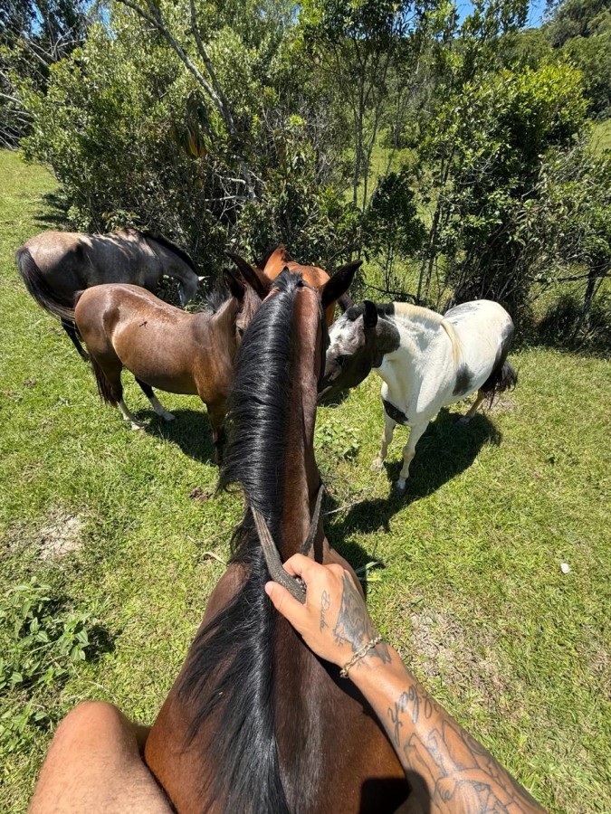 Fazenda à venda com 4 quartos, 261000m² - Foto 6