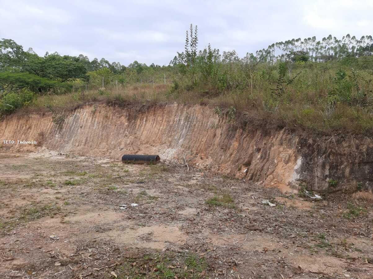 Fazenda à venda com 3 quartos, 4m² - Foto 45