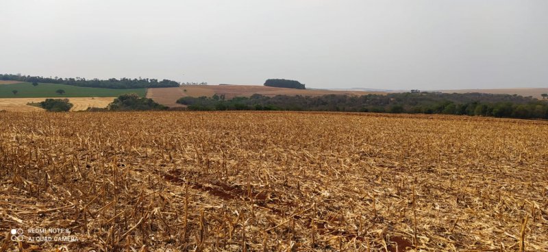 Fazenda, 108 hectares - Foto 3