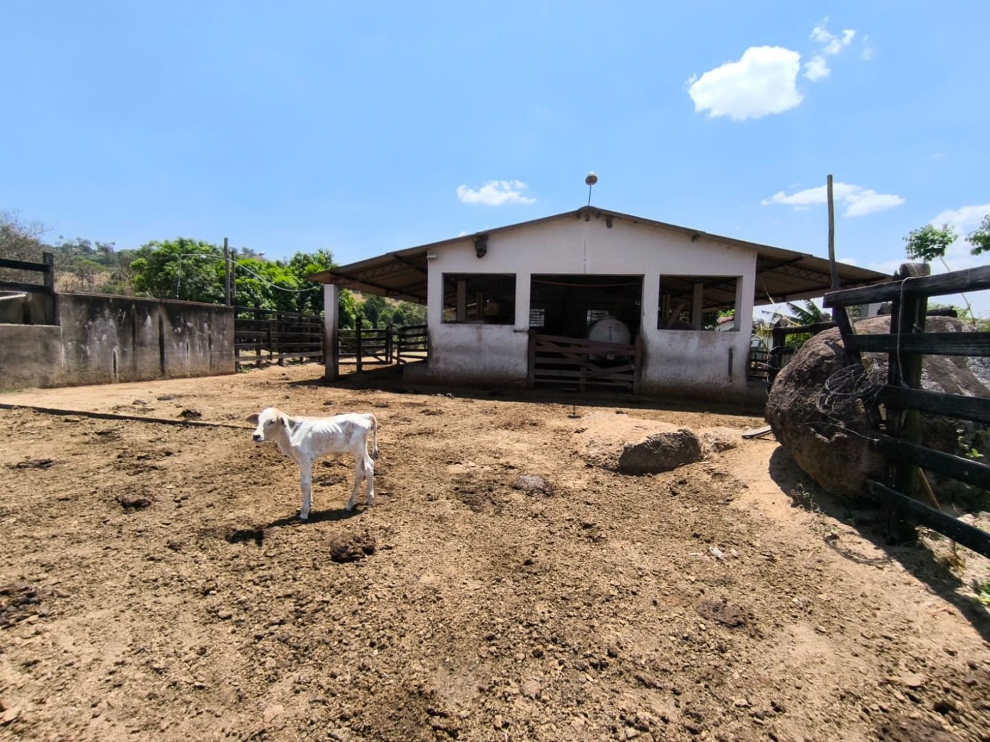 Sítio à venda com 8 quartos, 186000M2 - Foto 14