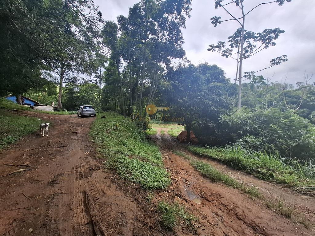 Sítio à venda com 5 quartos, 96800m² - Foto 55