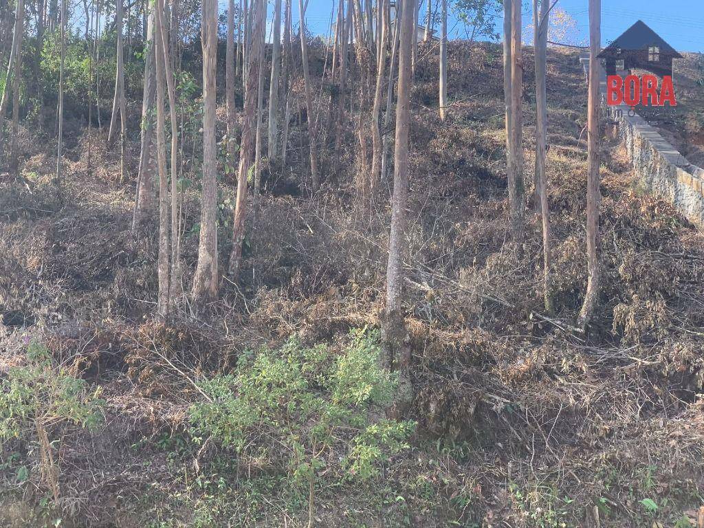 Loteamento e Condomínio à venda, 1174M2 - Foto 8