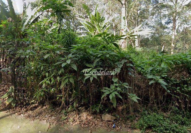 Terreno à venda, 500M2 - Foto 2