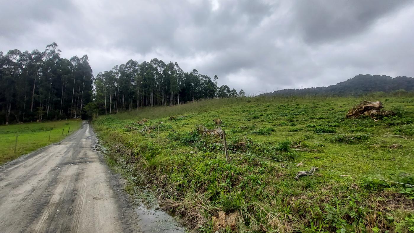 Fazenda à venda, 100000m² - Foto 21