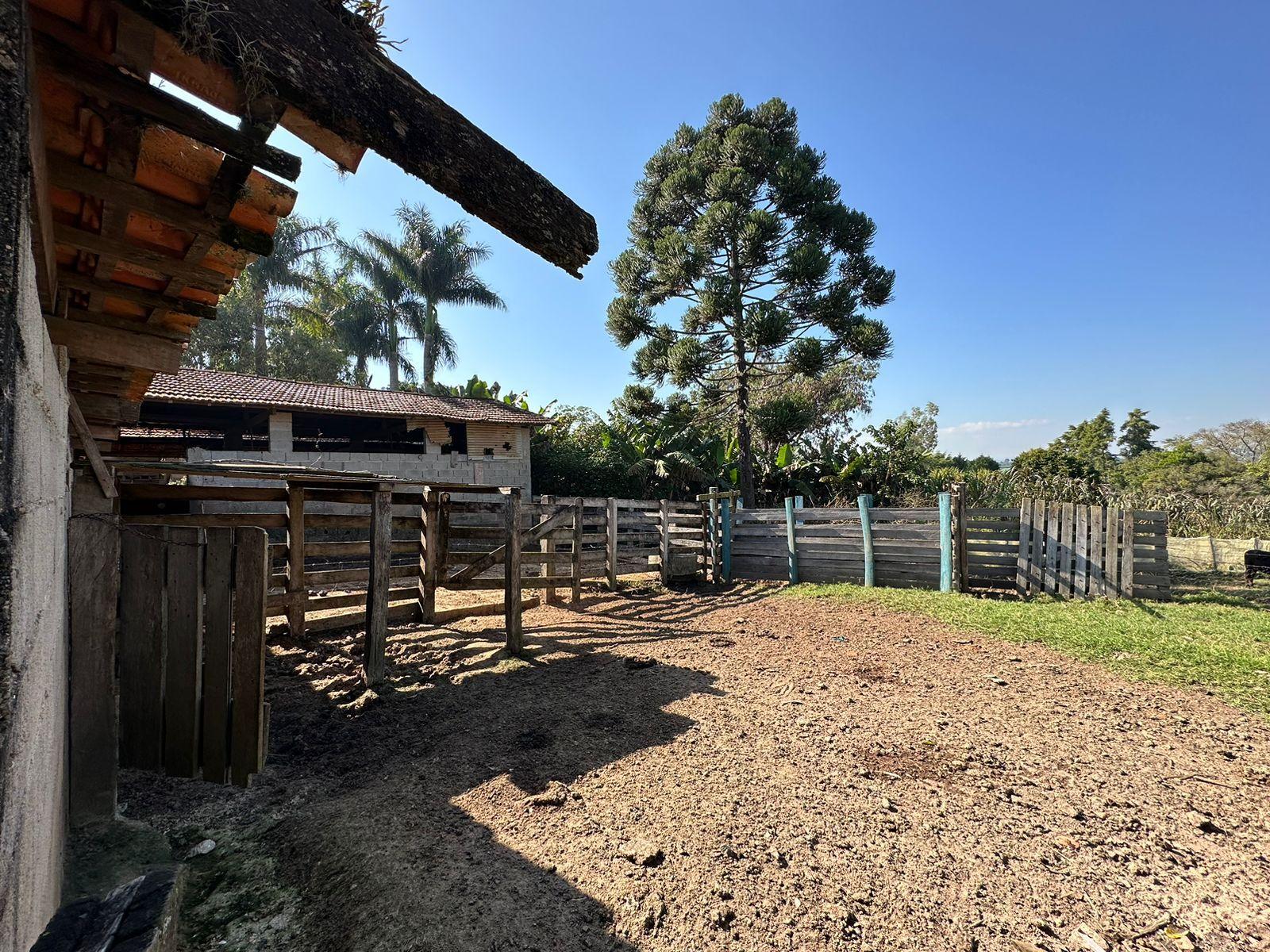 Fazenda à venda com 2 quartos, 14000m² - Foto 9