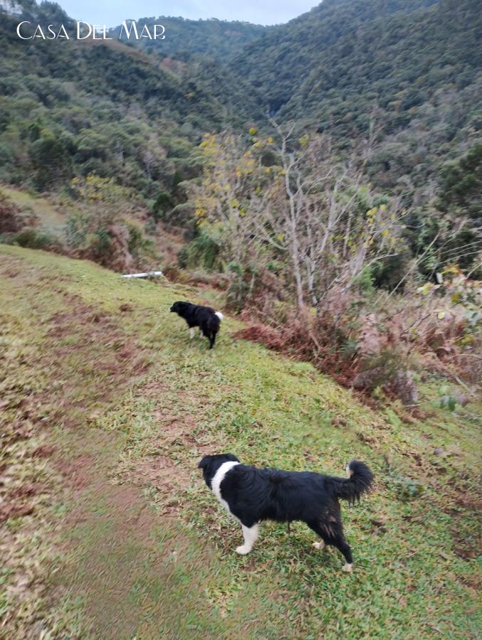 Fazenda à venda, 20000m² - Foto 2