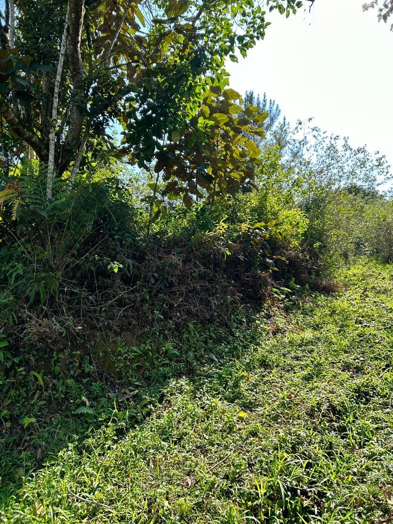 Terreno à venda, 1870M2 - Foto 5