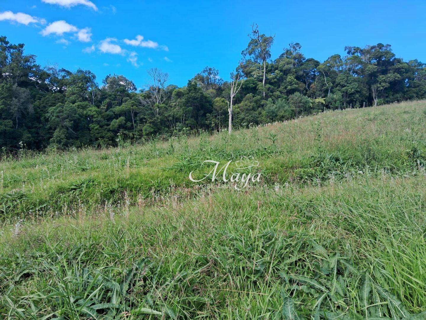 Terreno à venda, 2000M2 - Foto 13