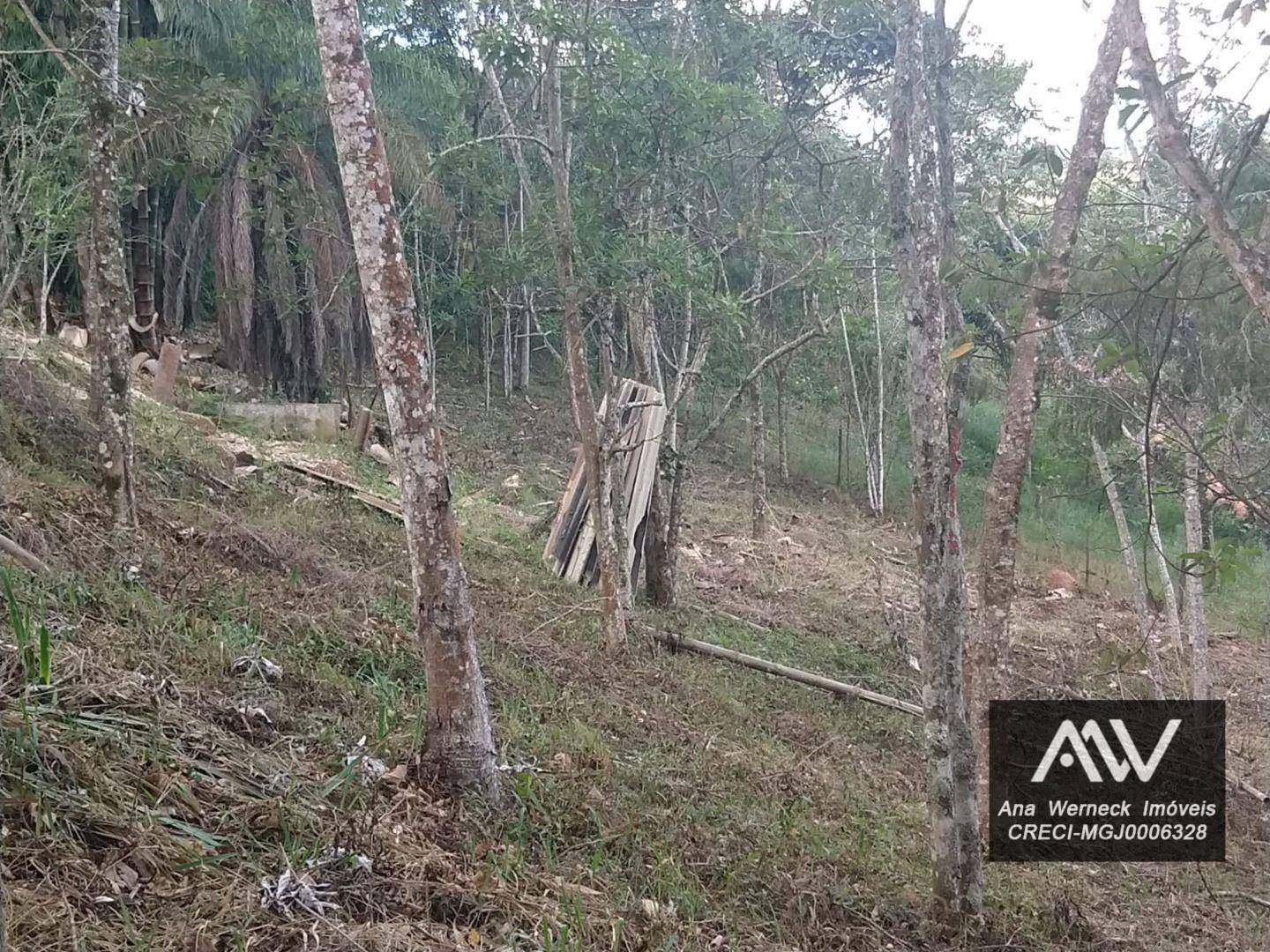 Chácara à venda com 1 quarto, 4862M2 - Foto 22