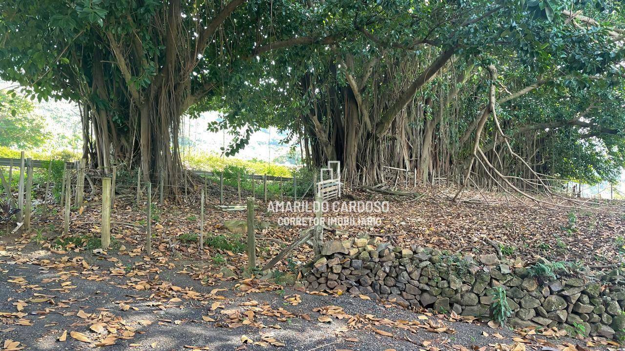 Casa à venda com 2 quartos, 57m² - Foto 13