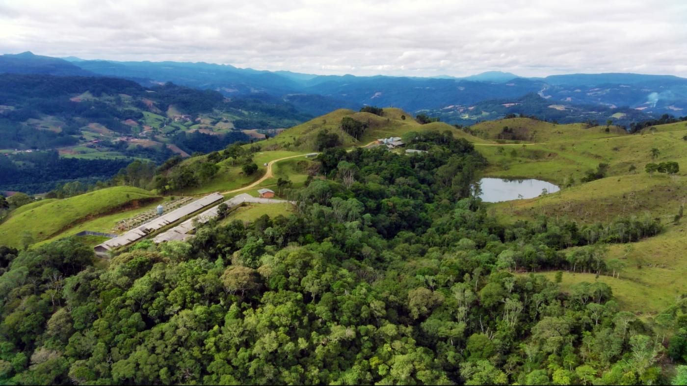 Fazenda à venda com 2 quartos, 862000m² - Foto 17