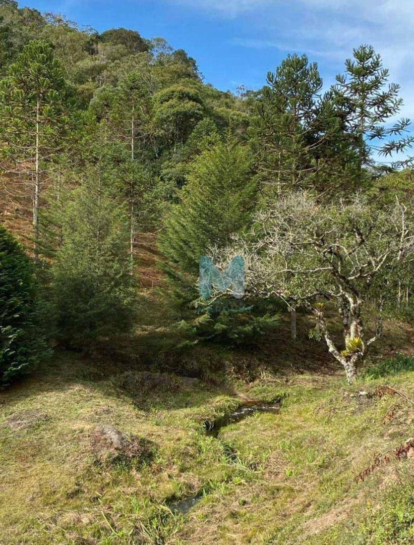 Fazenda à venda com 1 quarto, 80m² - Foto 5