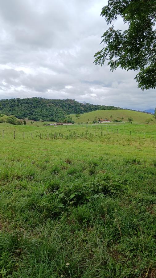 Fazenda à venda com 4 quartos, 19m² - Foto 29