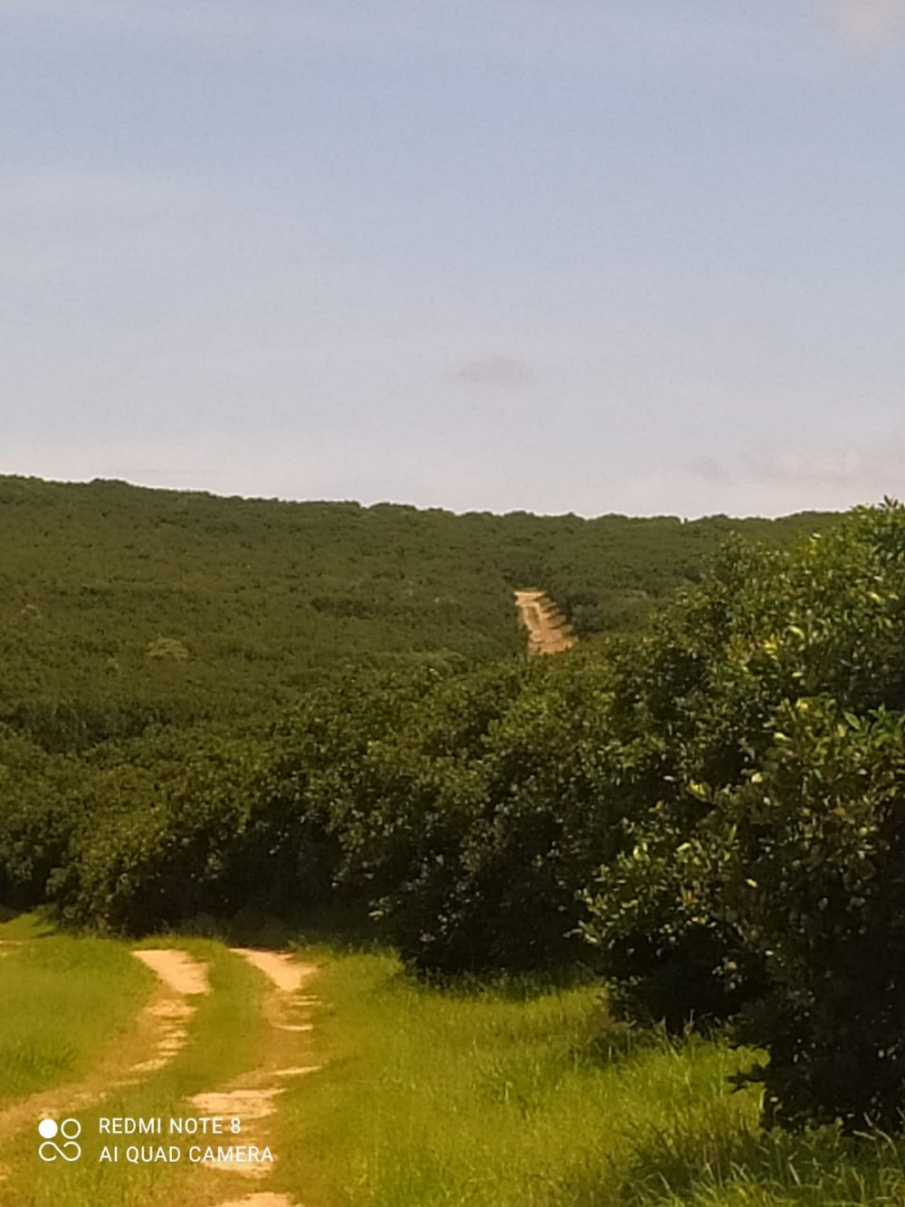 Fazenda à venda, 120m² - Foto 12