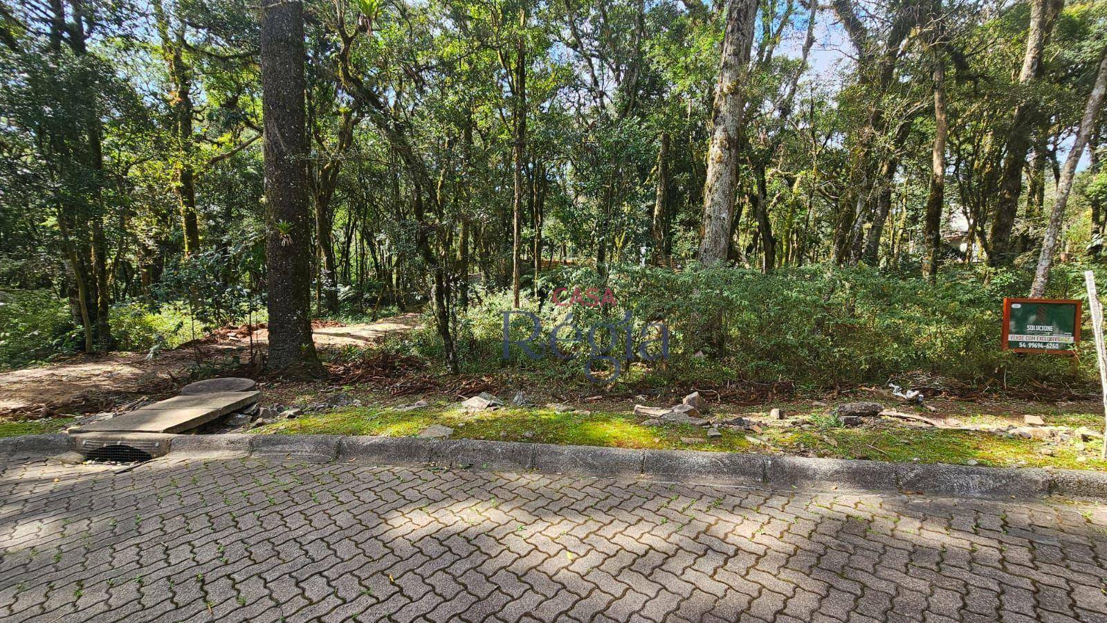 Loteamento e Condomínio à venda, 646M2 - Foto 11