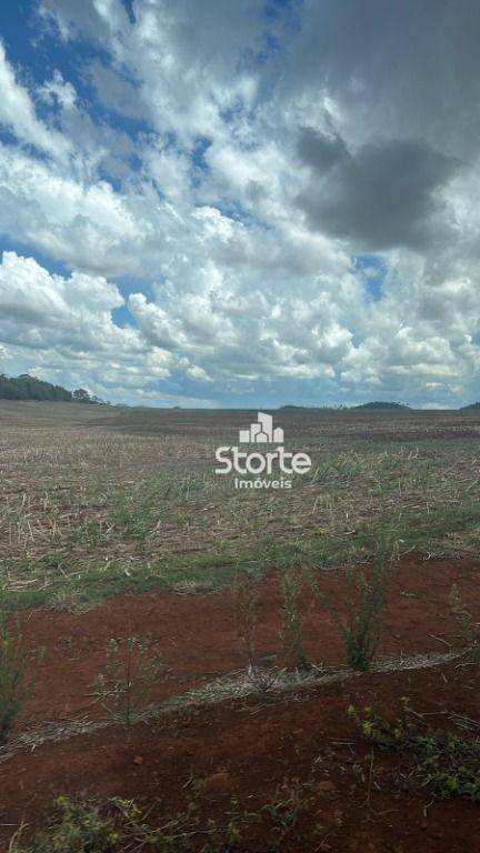 Fazenda à venda, 119420000M2 - Foto 6