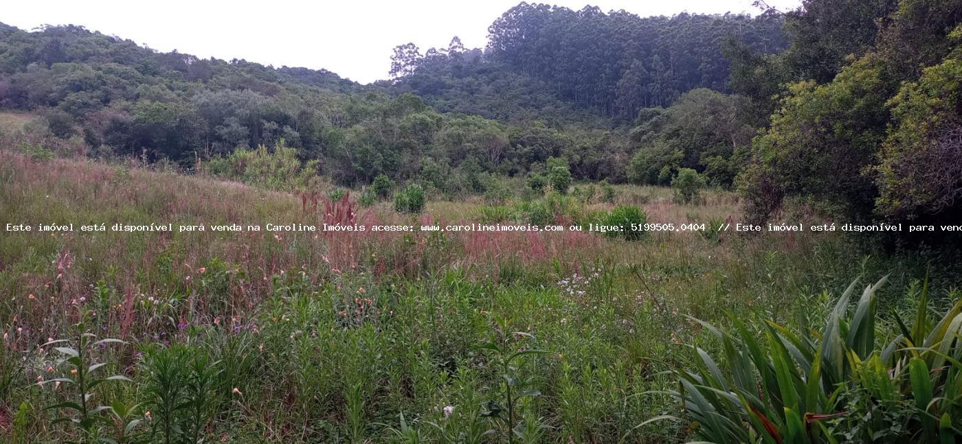 Loteamento e Condomínio à venda, 2500m² - Foto 3