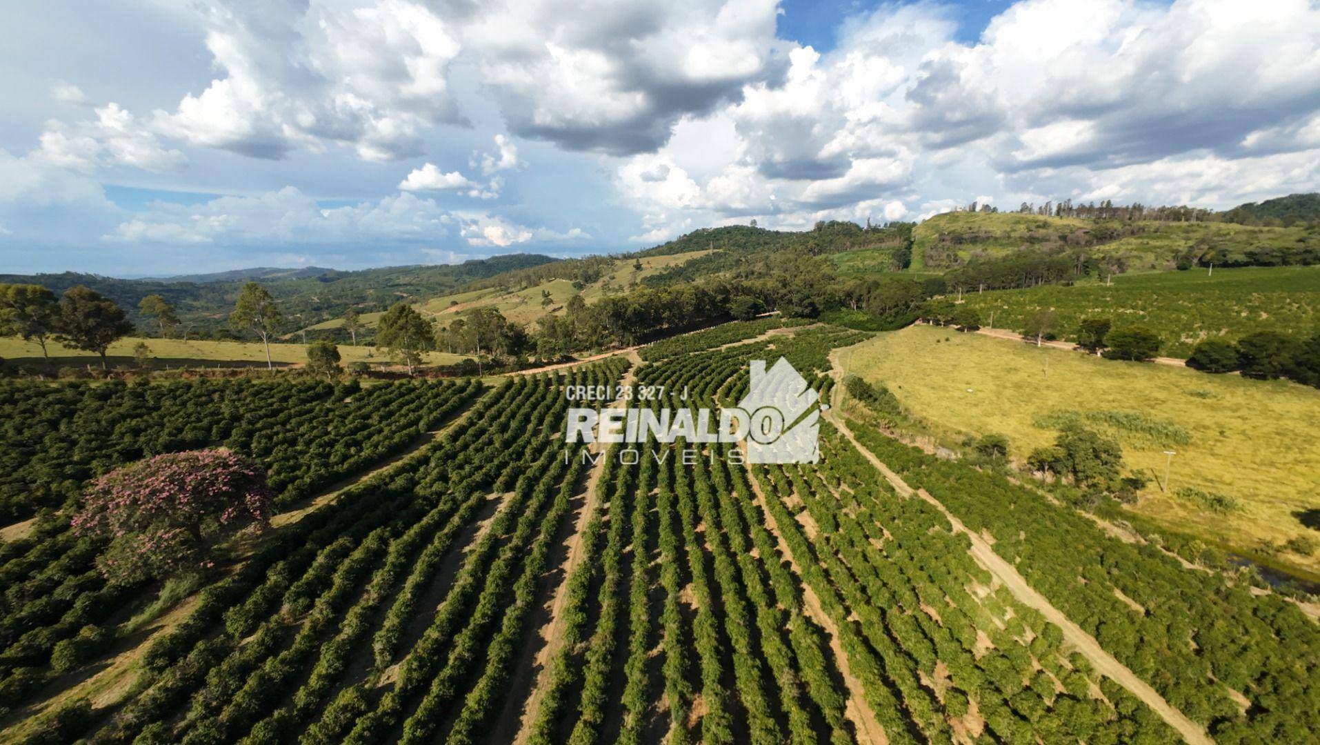 Fazenda à venda com 9 quartos, 5000m² - Foto 22