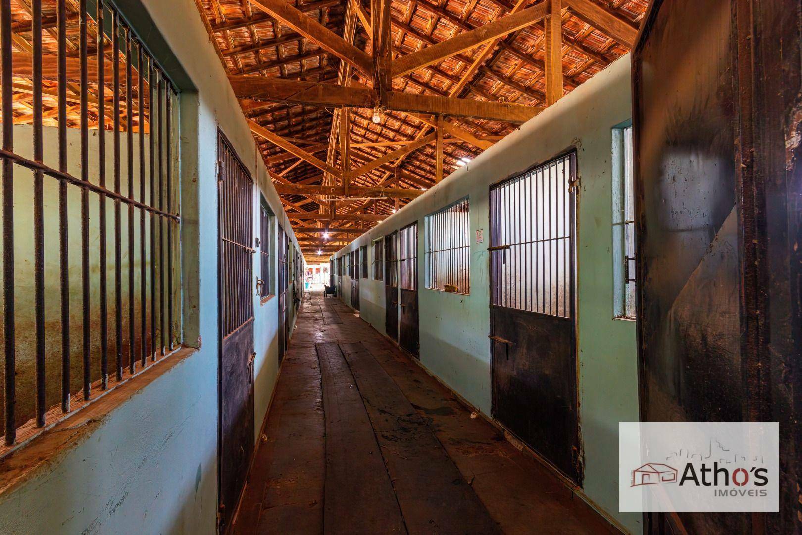 Haras e Área Rural Padrão à venda, 20140M2 - Foto 23