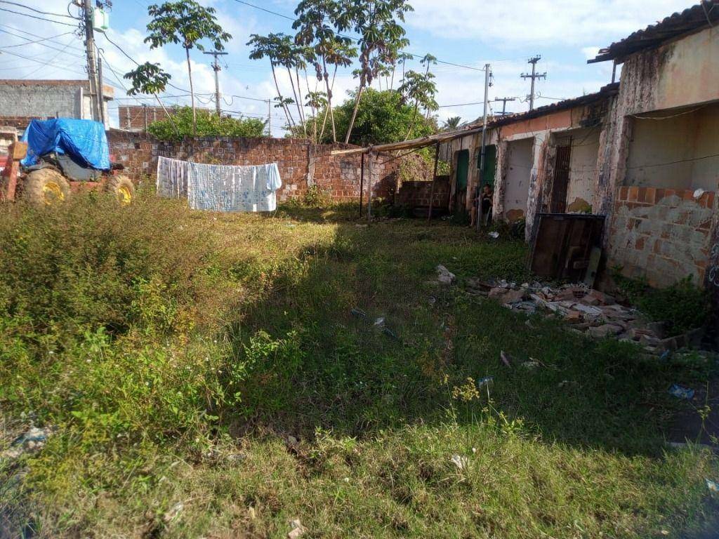 Terreno, 250 m² - Foto 5