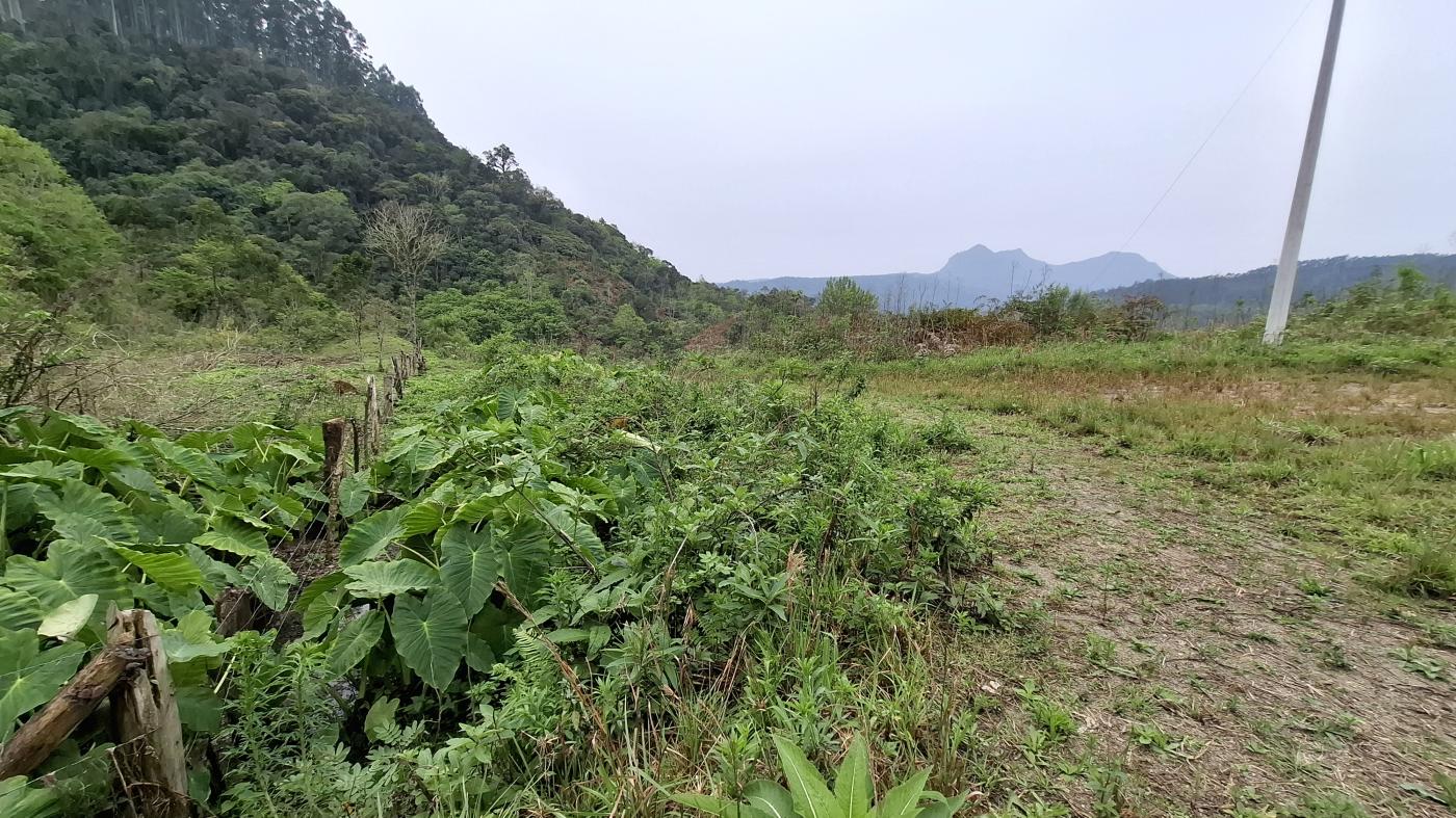 Fazenda à venda, 40000m² - Foto 16