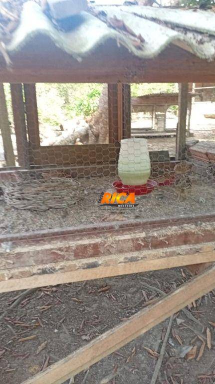 Chácara, 6 hectares - Foto 14