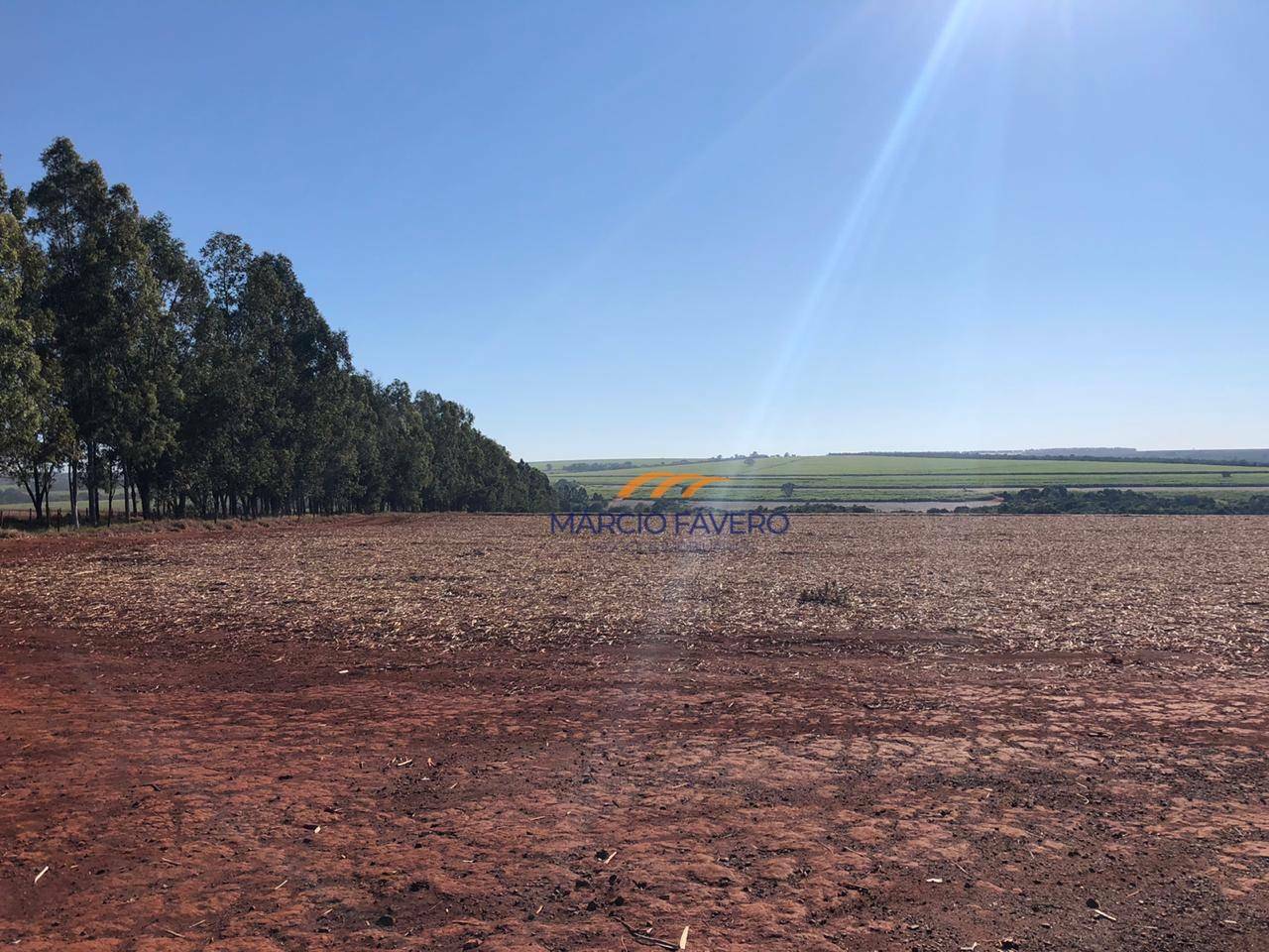 Fazenda à venda, 2299000M2 - Foto 3