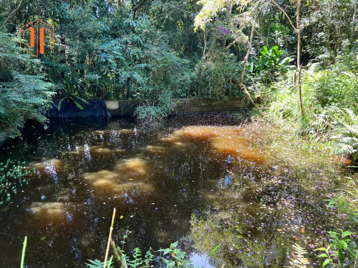 Chácara à venda, 26000m² - Foto 8