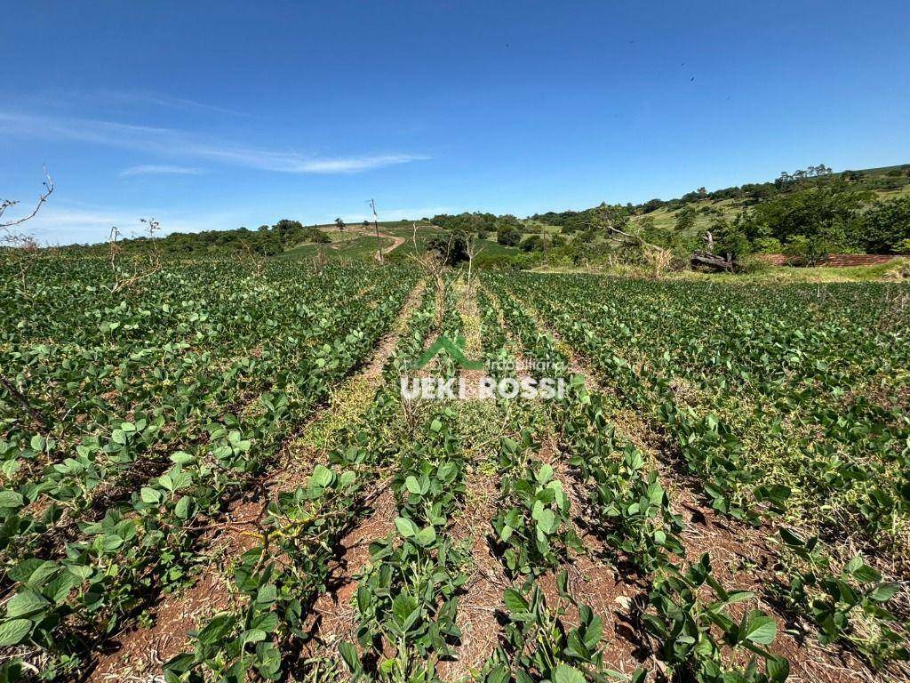 Sítio à venda, 387200M2 - Foto 9