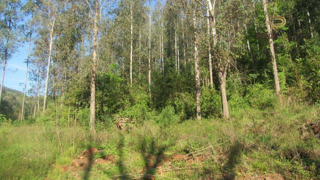 Terreno à venda, 40000M2 - Foto 10