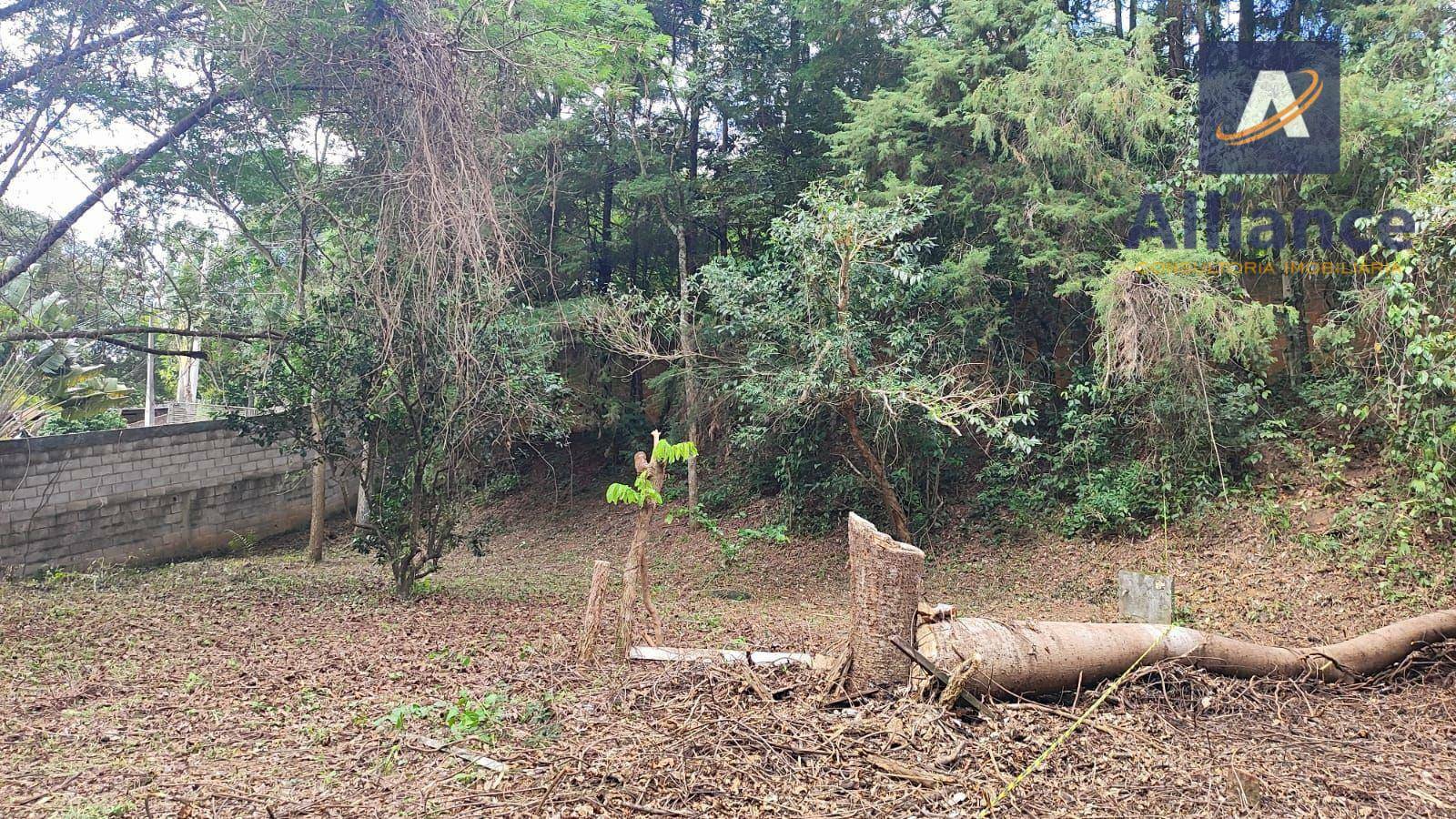 Terreno à venda, 1000M2 - Foto 19