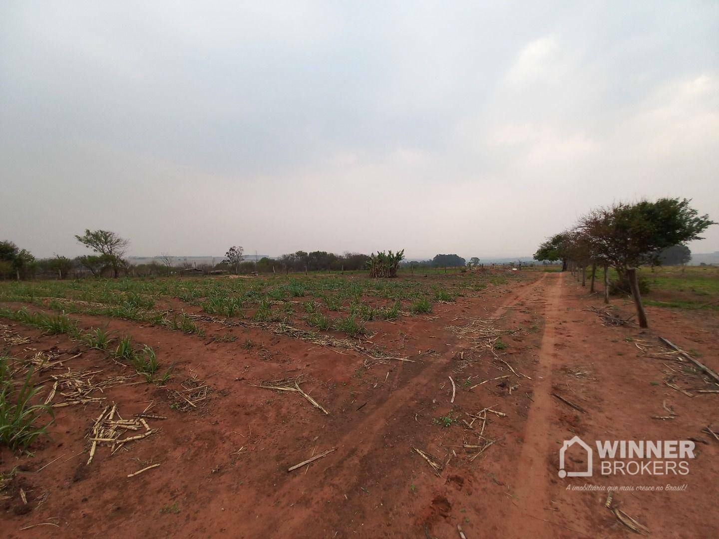 Chácara à venda com 3 quartos, 24200M2 - Foto 15