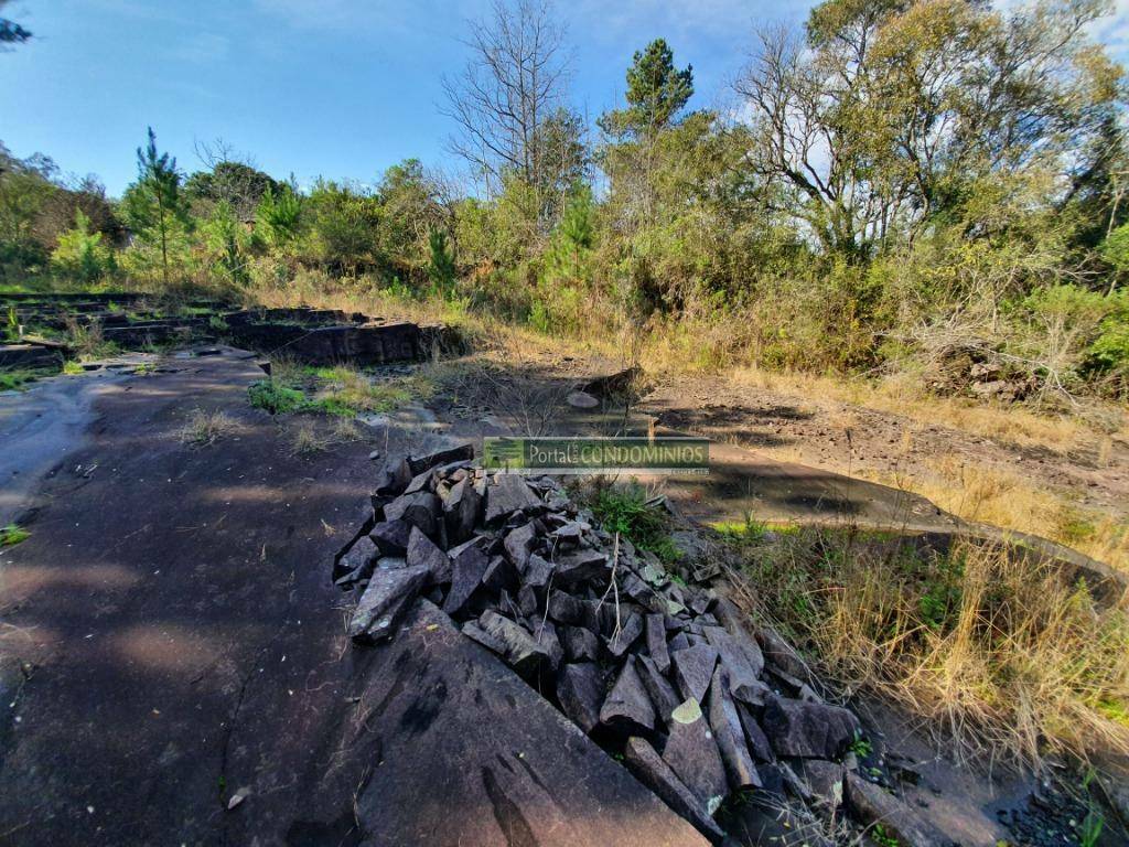 Terreno à venda, 15600M2 - Foto 16