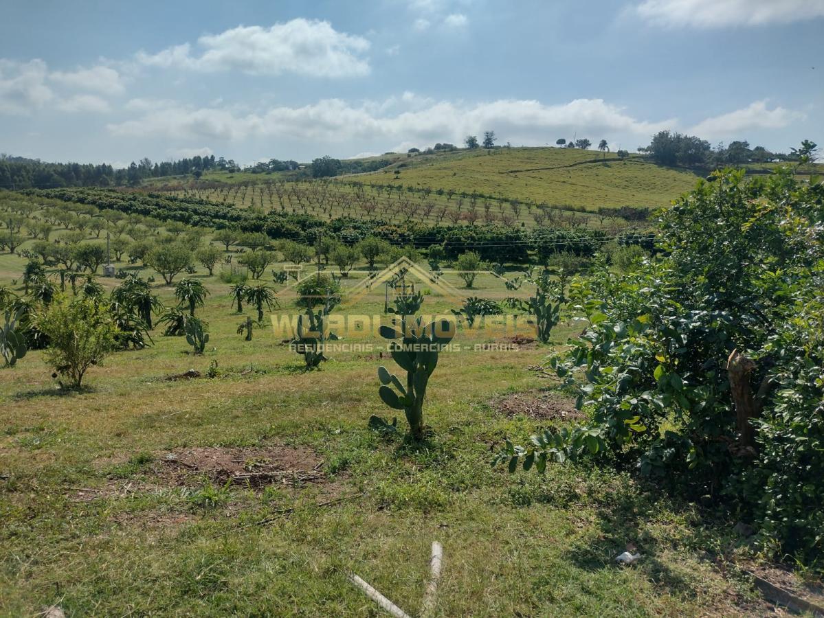 Fazenda à venda, 5m² - Foto 15