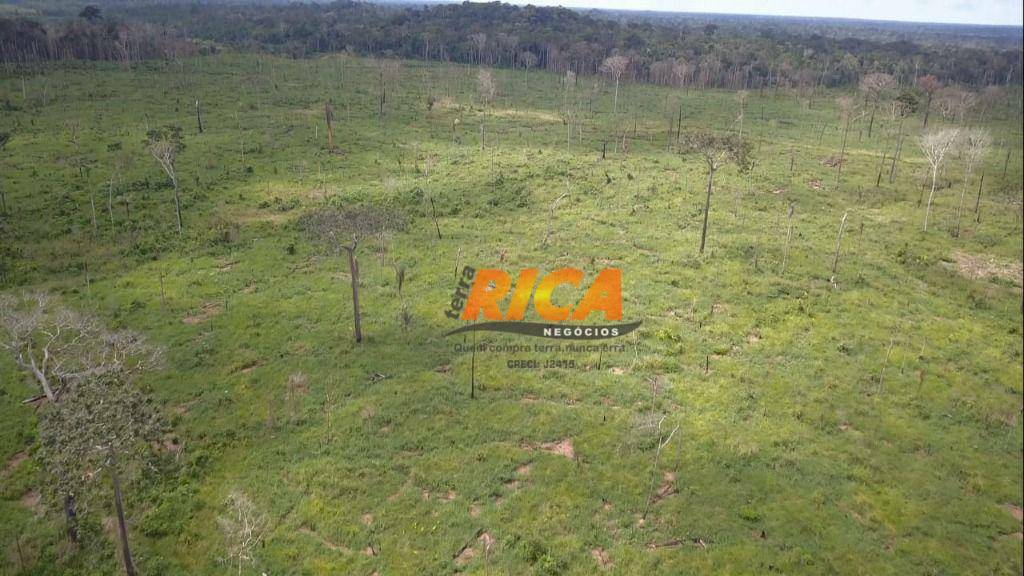 Fazenda à venda, 39860000M2 - Foto 15